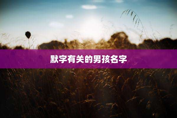 默字有关的男孩名字
