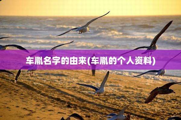 车胤名字的由来(车胤的个人资料)