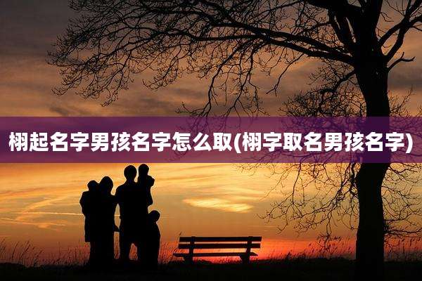 栩起名字男孩名字怎么取(栩字取名男孩名字)