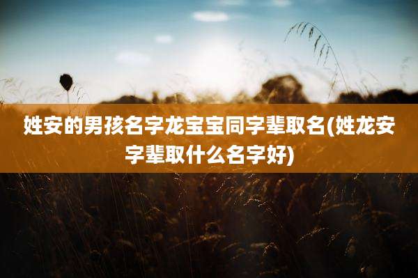 姓安的男孩名字龙宝宝同字辈取名(姓龙安字辈取什么名字好)