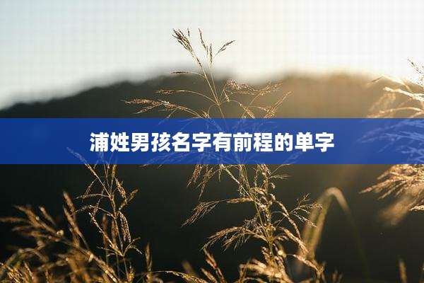 浦姓男孩名字有前程的单字