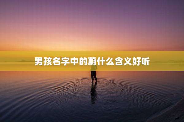 男孩名字中的蔚什么含义好听