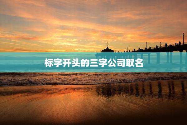 标字开头的三字公司取名
