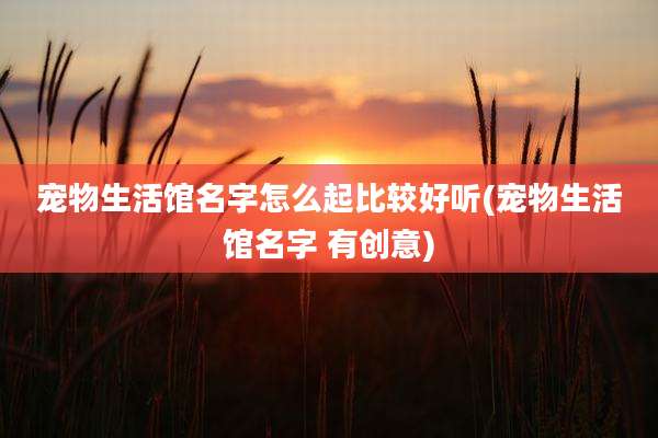宠物生活馆名字怎么起比较好听(宠物生活馆名字 有创意)