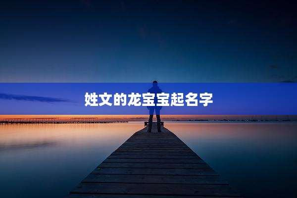 姓文的龙宝宝起名字