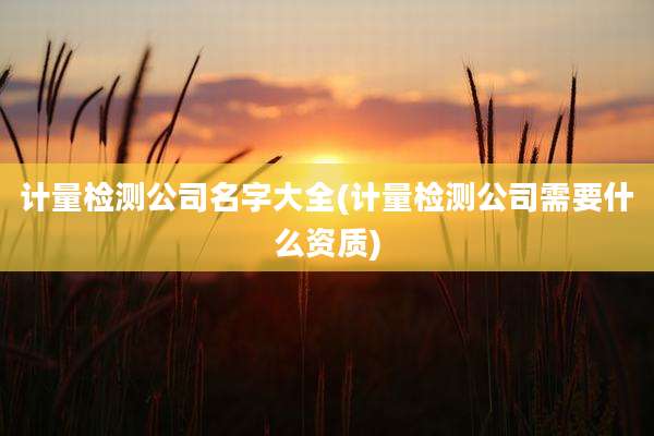 计量检测公司名字大全(计量检测公司需要什么资质)