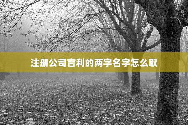 注册公司吉利的两字名字怎么取