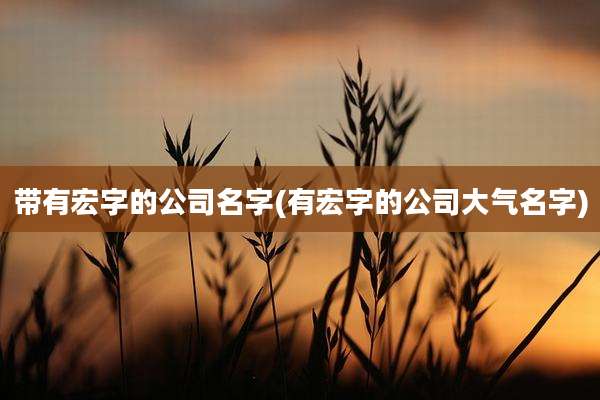 带有宏字的公司名字(有宏字的公司大气名字)