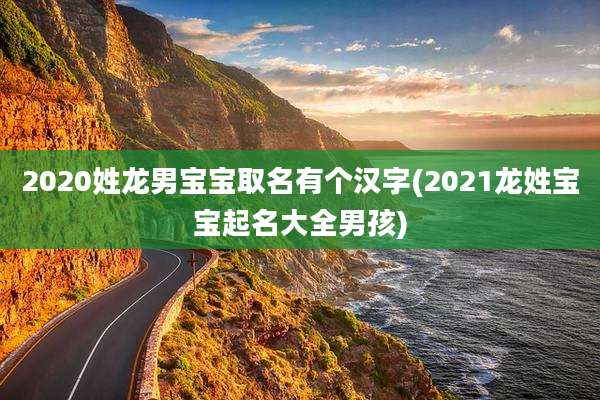 2020姓龙男宝宝取名有个汉字(2021龙姓宝宝起名大全男孩)