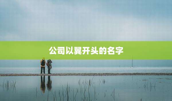 公司以翼开头的名字
