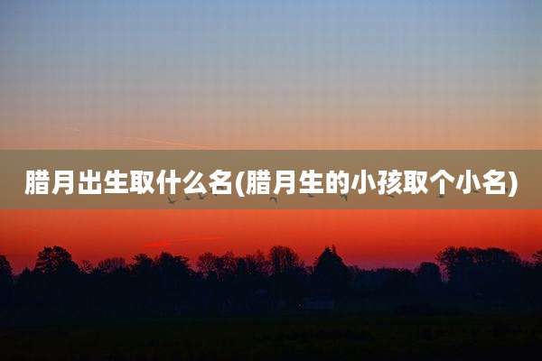 腊月出生取什么名(腊月生的小孩取个小名)
