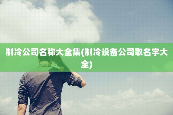 制冷公司名称大全集(制冷设备公司取名字大全)