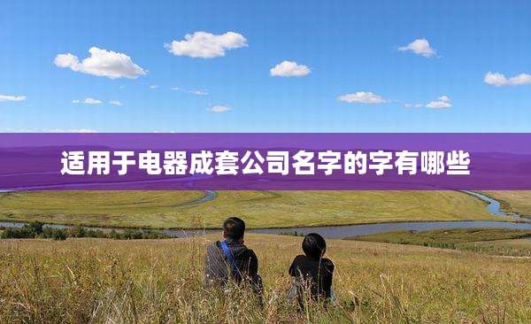 适用于电器成套公司名字的字有哪些