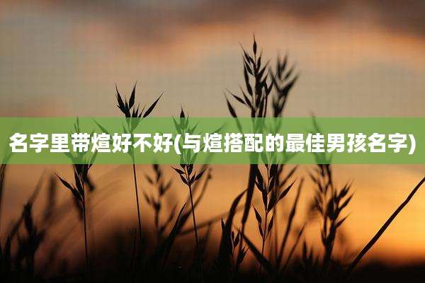 名字里带煊好不好(与煊搭配的最佳男孩名字)