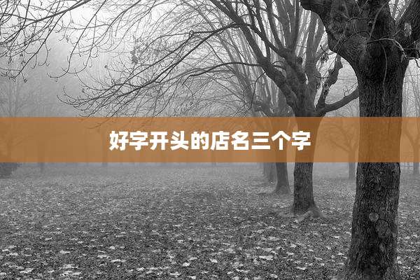 好字开头的店名三个字