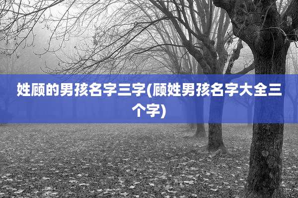 姓顾的男孩名字三字(顾姓男孩名字大全三个字)