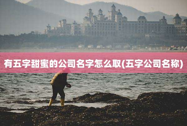 有五字甜蜜的公司名字怎么取(五字公司名称)