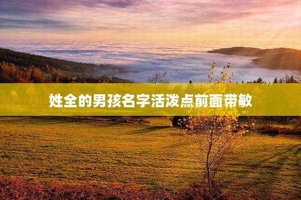姓全的男孩名字活泼点前面带敏