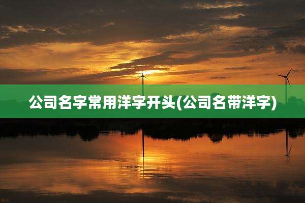 公司名字常用洋字开头(公司名带洋字)