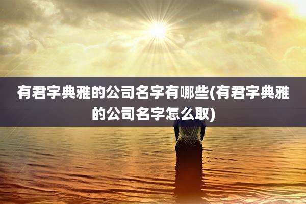 有君字典雅的公司名字有哪些(有君字典雅的公司名字怎么取)