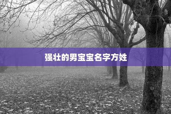 强壮的男宝宝名字方姓