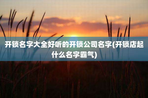 开锁名字大全好听的开锁公司名字(开锁店起什么名字霸气)