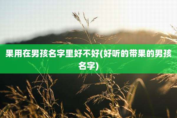 果用在男孩名字里好不好(好听的带果的男孩名字)