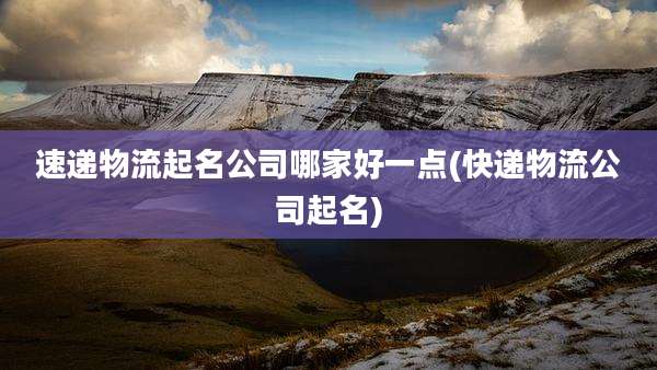 速递物流起名公司哪家好一点(快递物流公司起名)