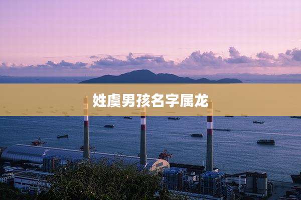 姓虞男孩名字属龙
