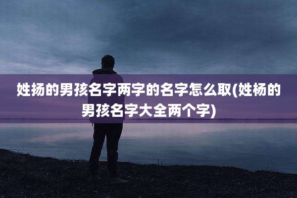 姓扬的男孩名字两字的名字怎么取(姓杨的男孩名字大全两个字)