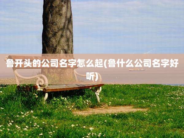 鲁开头的公司名字怎么起(鲁什么公司名字好听)