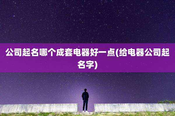 公司起名哪个成套电器好一点(给电器公司起名字)