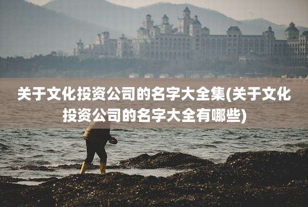 关于文化投资公司的名字大全集(关于文化投资公司的名字大全有哪些)