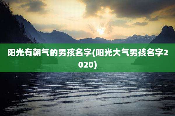 阳光有朝气的男孩名字(阳光大气男孩名字2020)