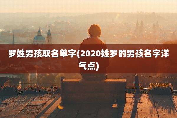 罗姓男孩取名单字(2020姓罗的男孩名字洋气点)