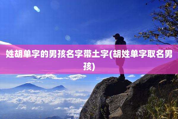 姓胡单字的男孩名字带土字(胡姓单字取名男孩)