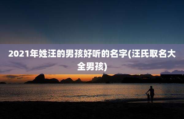 2021年姓汪的男孩好听的名字(汪氏取名大全男孩)