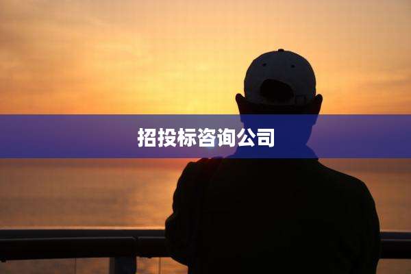 招投标咨询公司