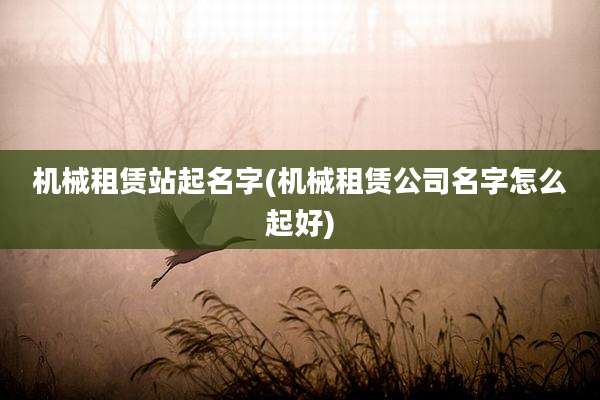 机械租赁站起名字(机械租赁公司名字怎么起好)