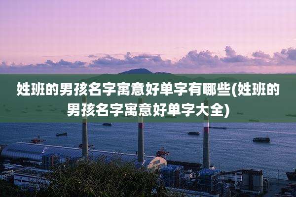 姓班的男孩名字寓意好单字有哪些(姓班的男孩名字寓意好单字大全)