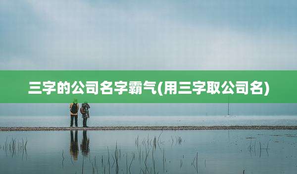 三字的公司名字霸气(用三字取公司名)