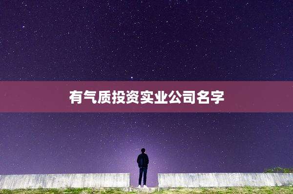 有气质投资实业公司名字