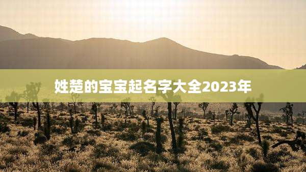 姓楚的宝宝起名字大全2023年