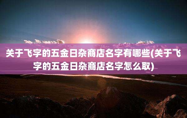 关于飞字的五金日杂商店名字有哪些(关于飞字的五金日杂商店名字怎么取)