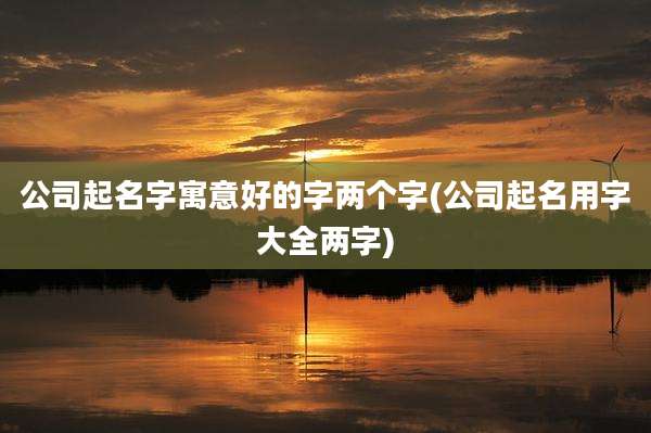 公司起名字寓意好的字两个字(公司起名用字大全两字)