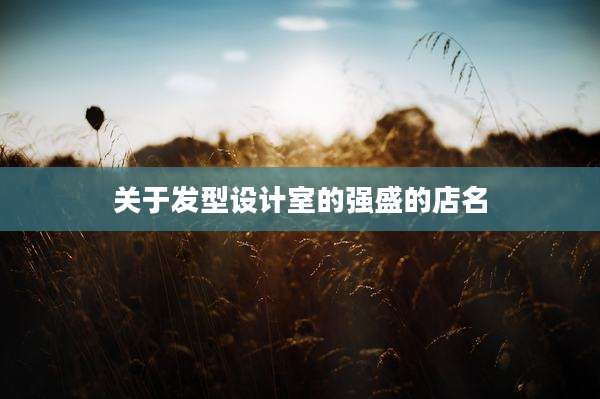关于发型设计室的强盛的店名