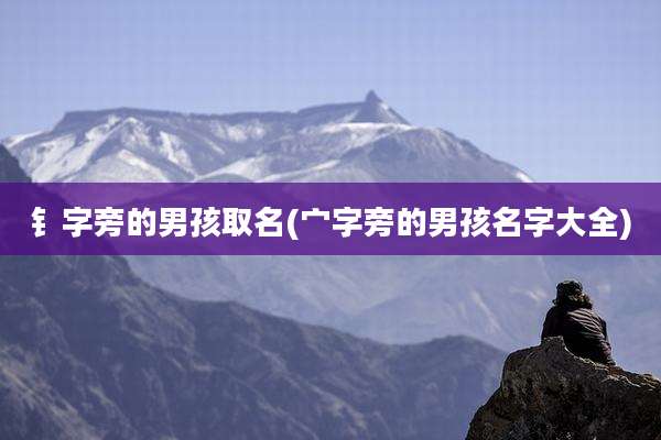 钅字旁的男孩取名(宀字旁的男孩名字大全)
