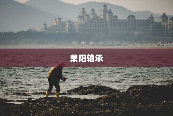 鼎阳轴承