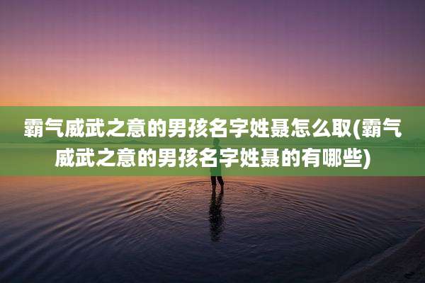 霸气威武之意的男孩名字姓聂怎么取(霸气威武之意的男孩名字姓聂的有哪些)