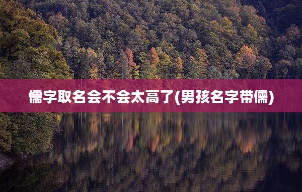 儒字取名会不会太高了(男孩名字带儒)